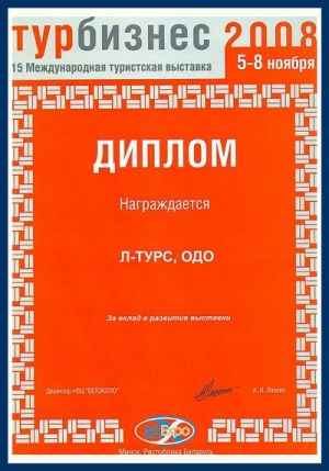 Турбизнес 2008